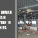 best-hair-factories-in-China-best-hair-factory-in-China-best-hair-vendors-in-China