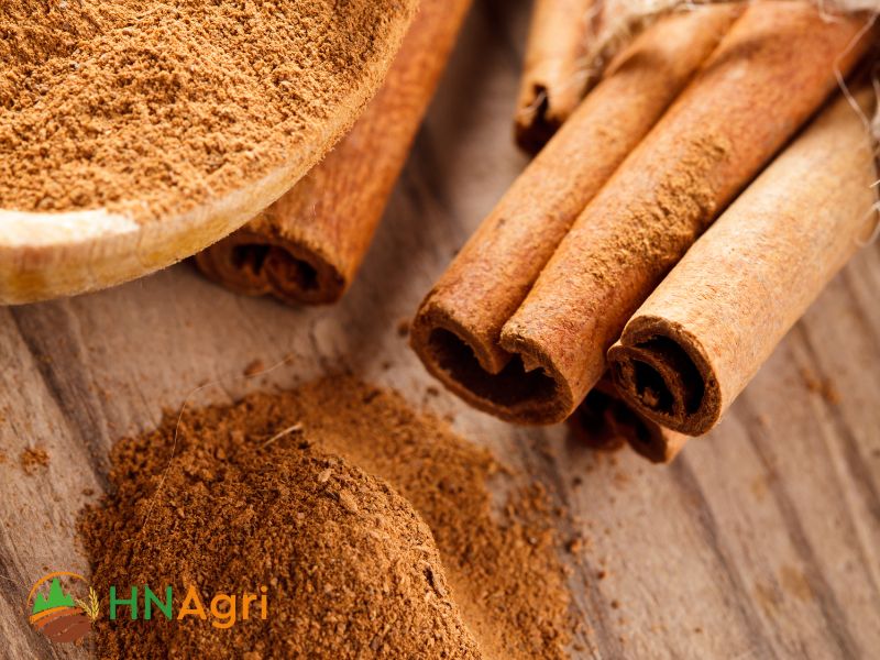 hanoi-cinnamon-your-trusted-partner-in-wholesale-cinnamon-1
