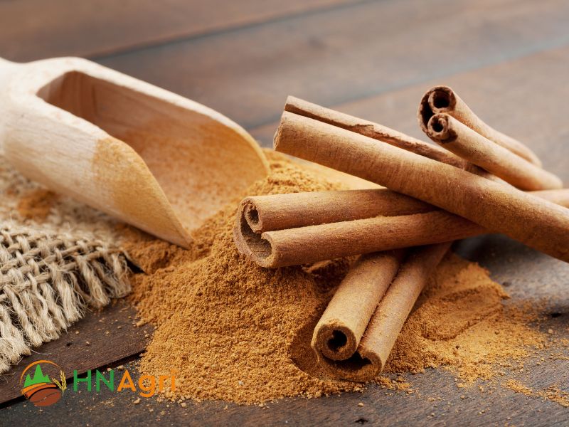 hanoi-cinnamon-your-trusted-partner-in-wholesale-cinnamon-2