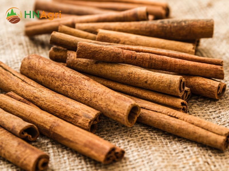 bulk-organic-cinnamon-a-healthy-and-delicious-spice-for-wholesalers-1