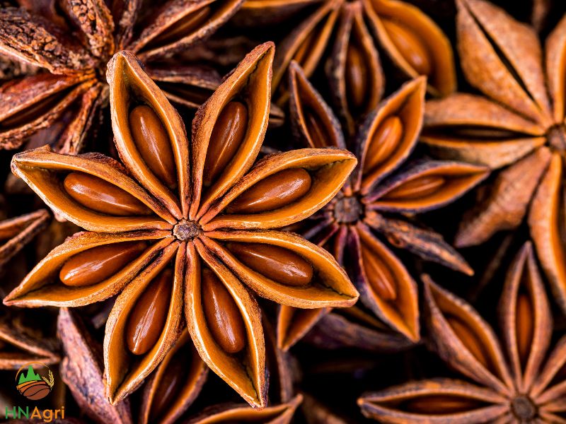 unveiling-the-aromatic-marvel-unraveling-the-secrets-of-star-anise-1